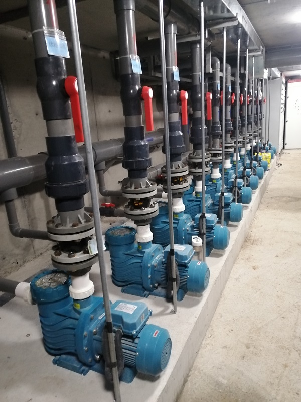 水泵亚洲国产麻豆