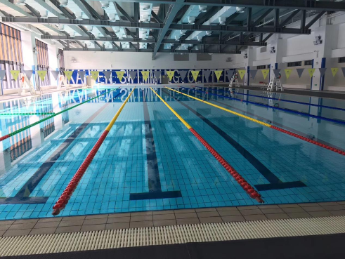 学校游麻豆三级高潮性爱片