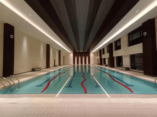 室内游麻豆三级高潮性爱片