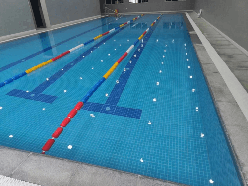 室内麻豆三级高潮性爱片